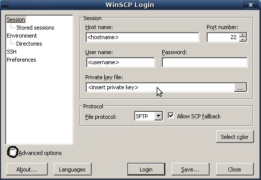 winscp_b.jpg